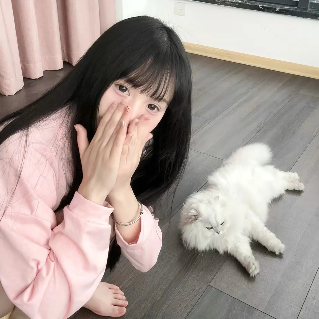 吸血鬼猎人